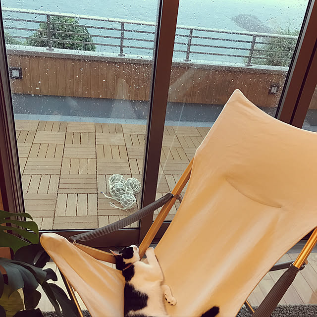 noraさんの実例写真