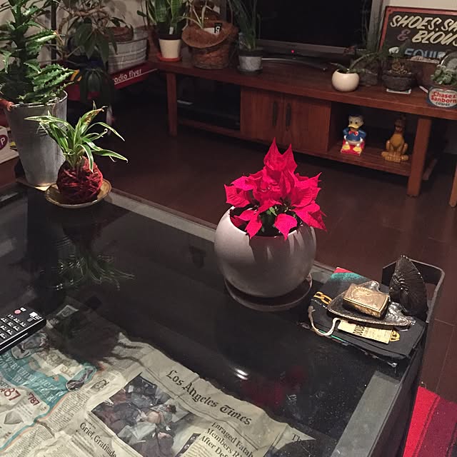 tsuyopipさんの実例写真