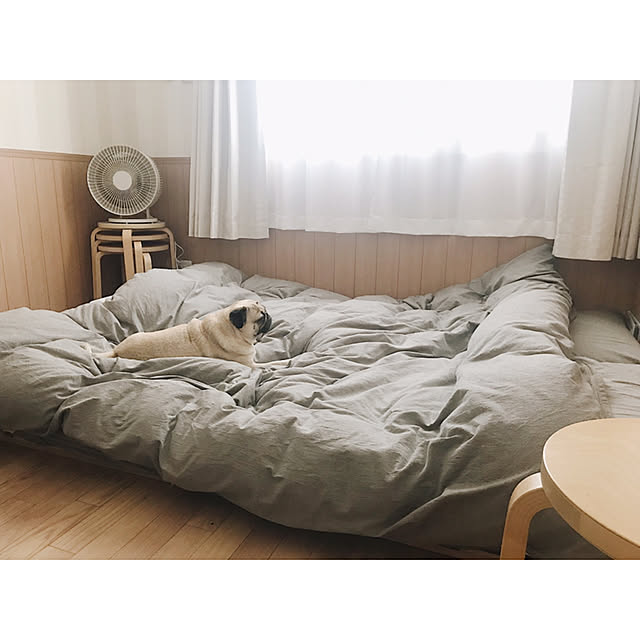 YUIさんの実例写真