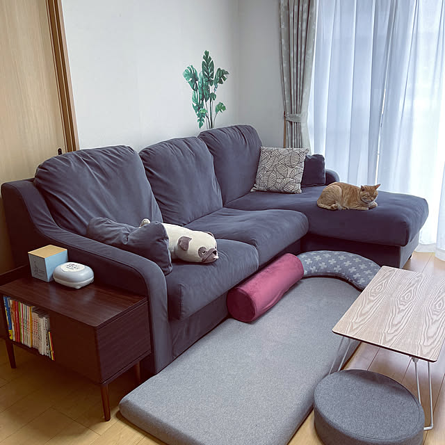 chiiさんの実例写真