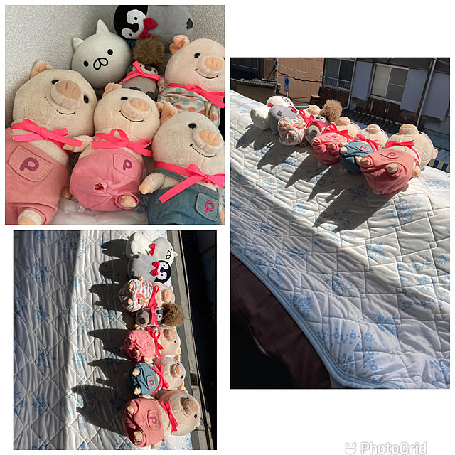masaさんの実例写真