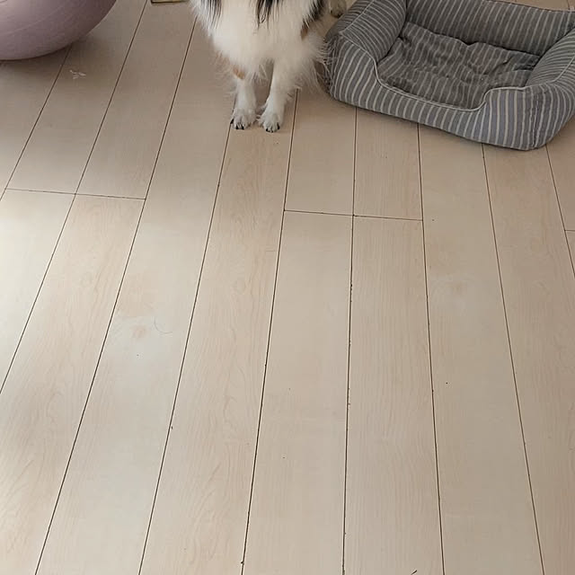 kobameさんの実例写真