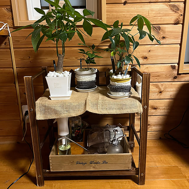 mogumoguさんの実例写真