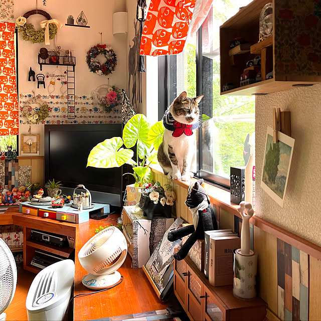 jijiさんの実例写真