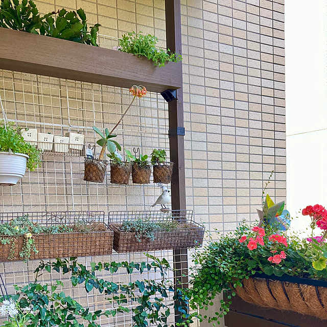 marukoさんの部屋