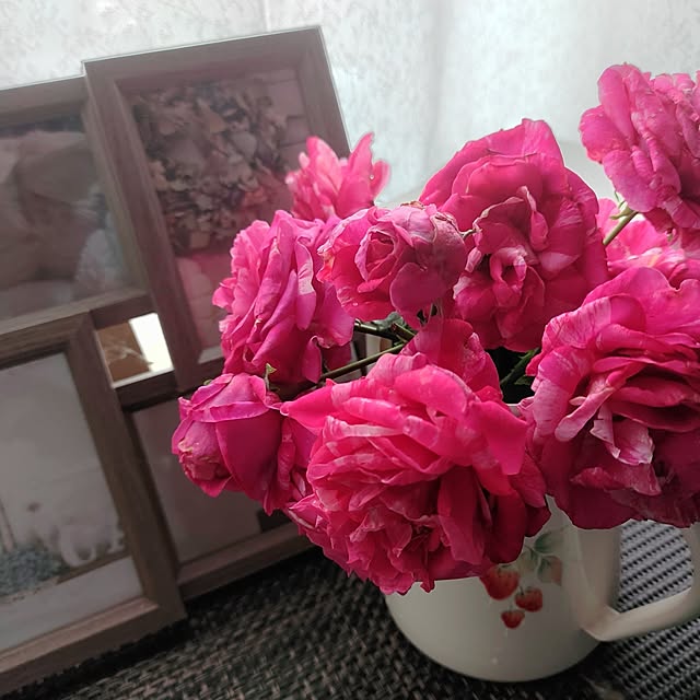 kiraさんの部屋