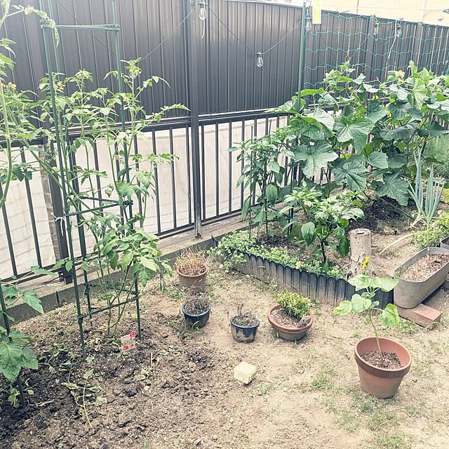 a-tanmanさんの実例写真