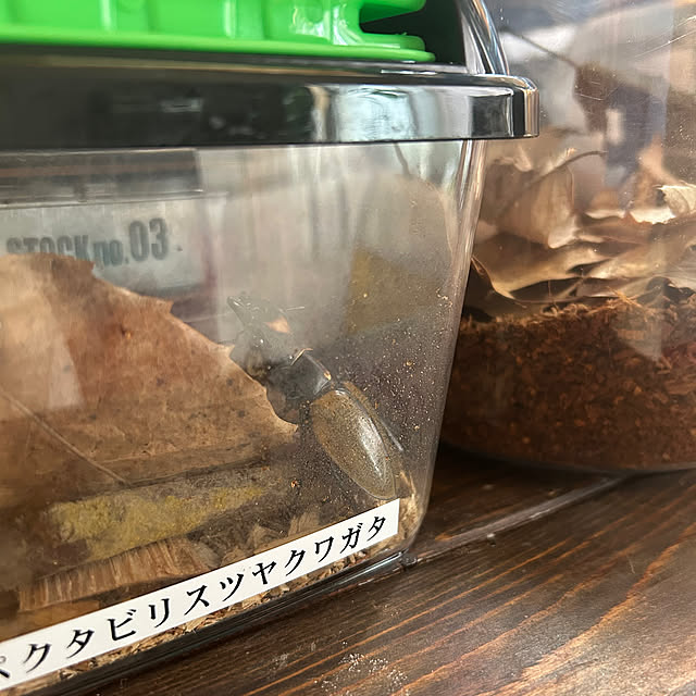 Fumiさんの部屋