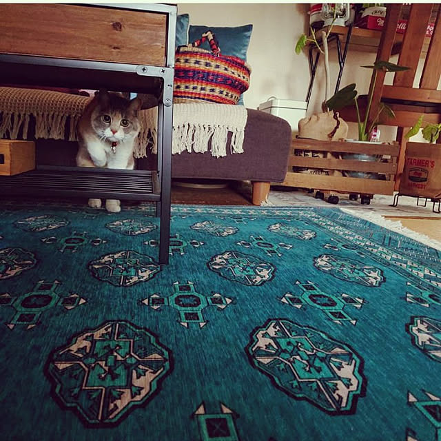 fukuさんの実例写真