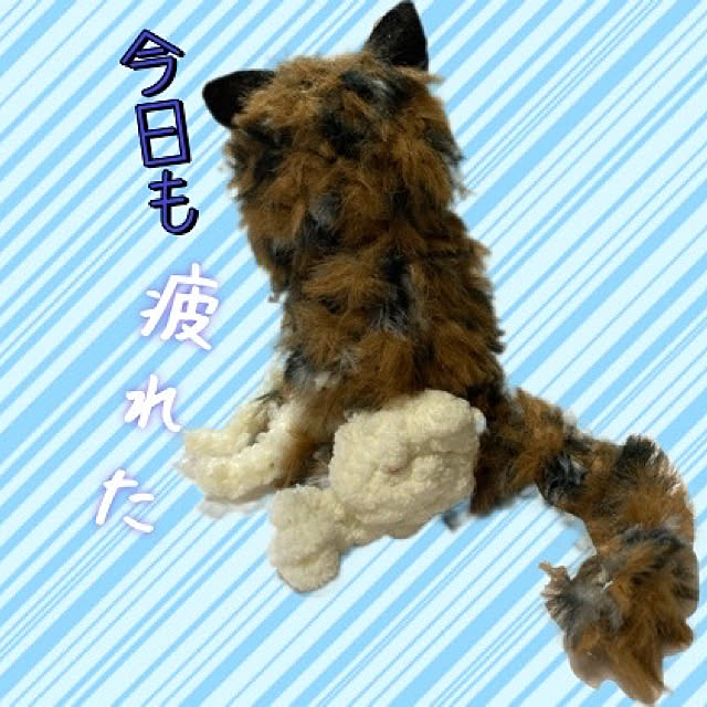 manduonmaさんの実例写真
