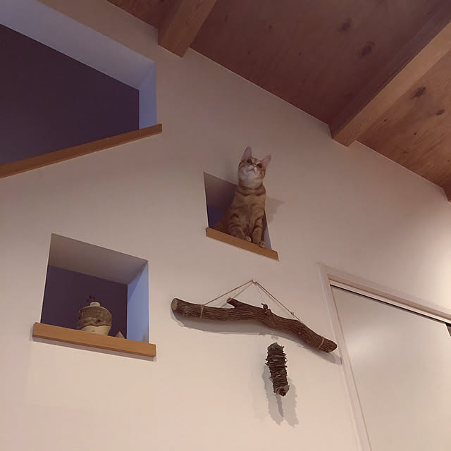 takakoさんの実例写真