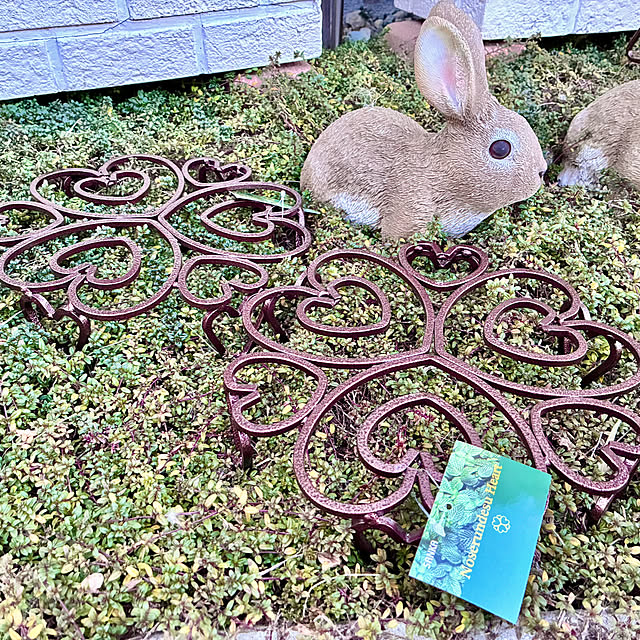 Junさんの実例写真