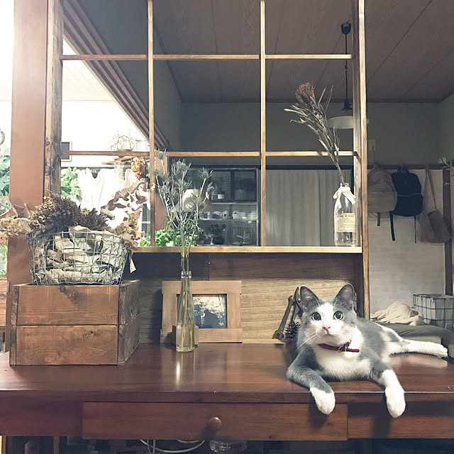 mucc08さんの実例写真