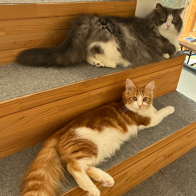 TKさんの実例写真