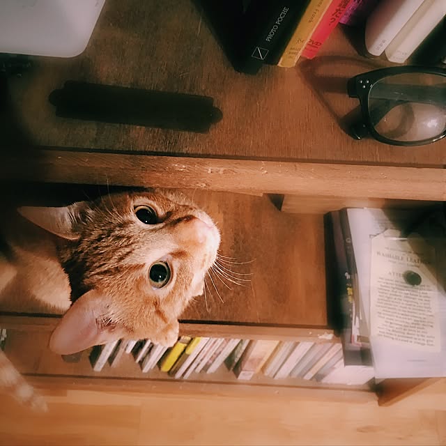 kayuraさんの実例写真