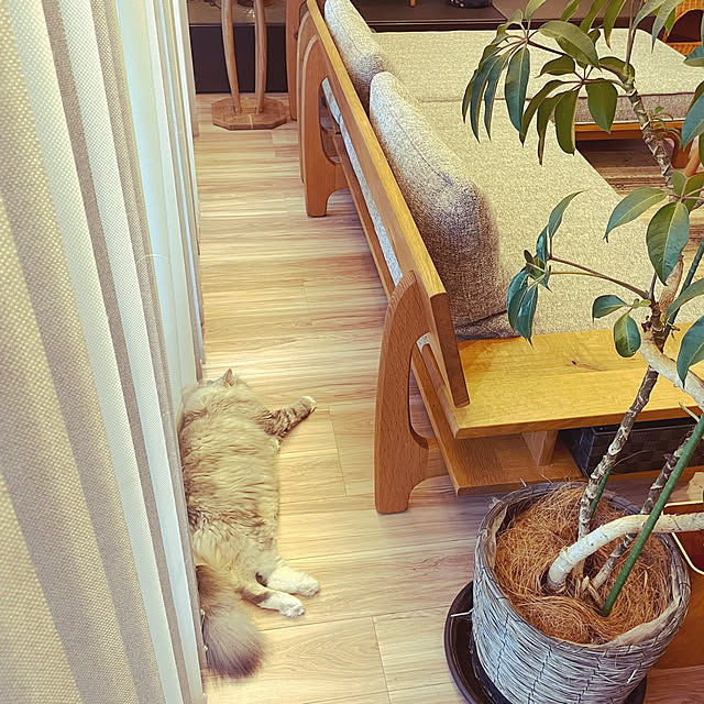 akimamさんの部屋