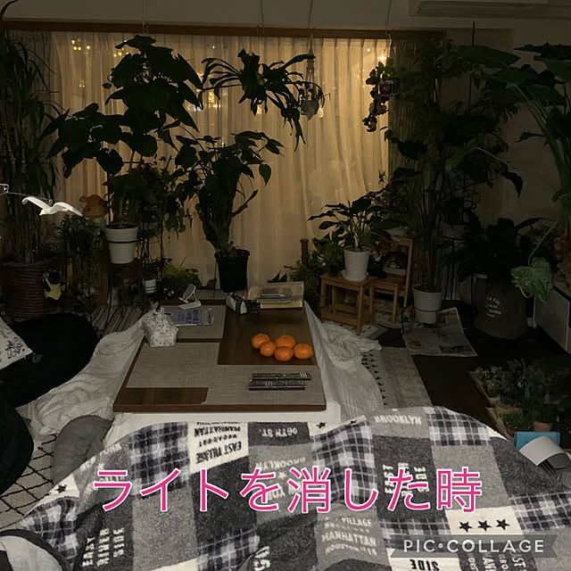 Aqettyさんの部屋