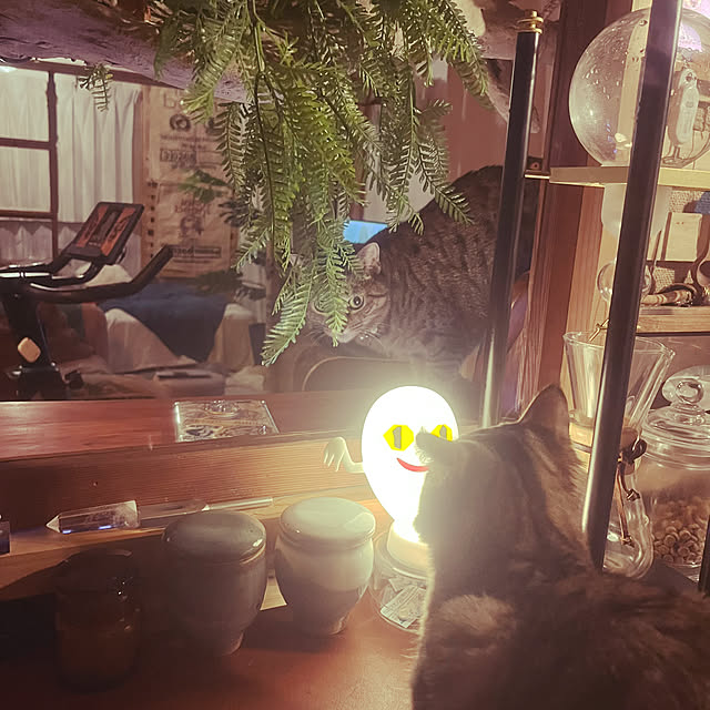 Mさんの部屋