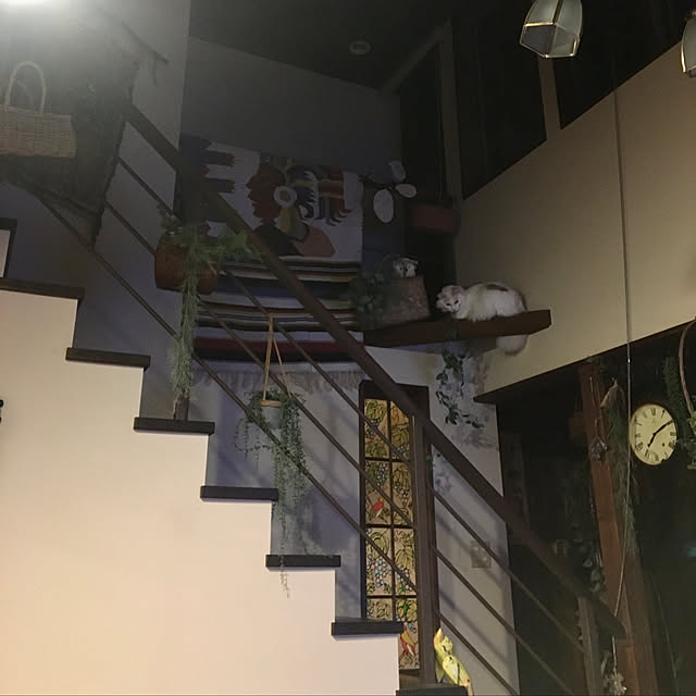 shigimiさんの実例写真