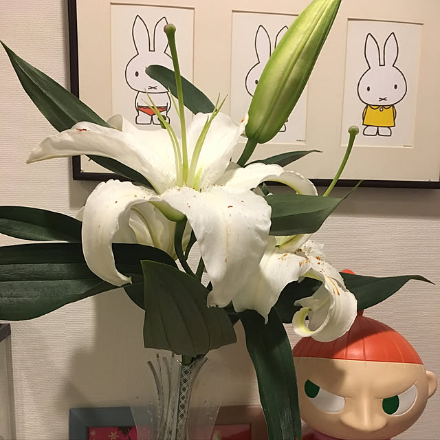 Hyebinさんの実例写真