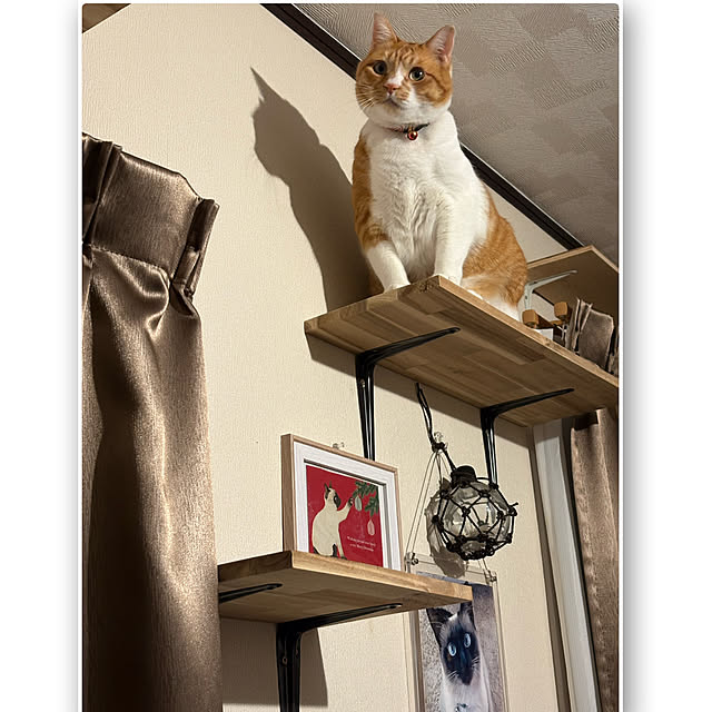 shi622さんの部屋