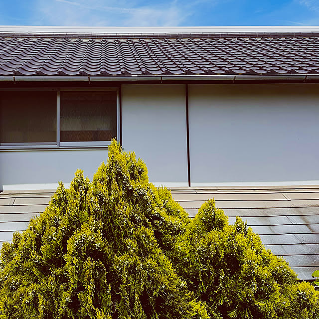 chacoさんの部屋