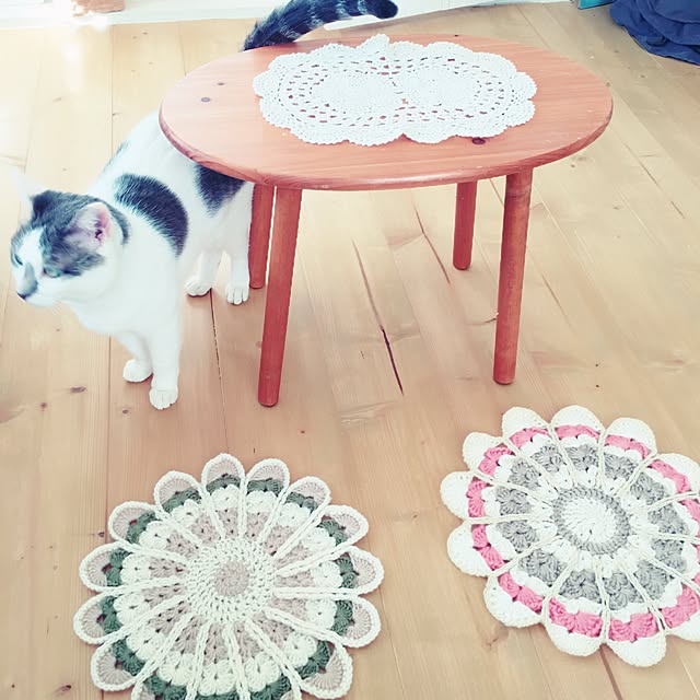 mintcatさんの実例写真