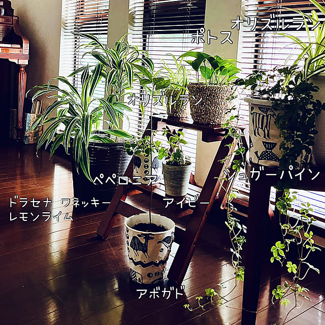 NAOさんの部屋