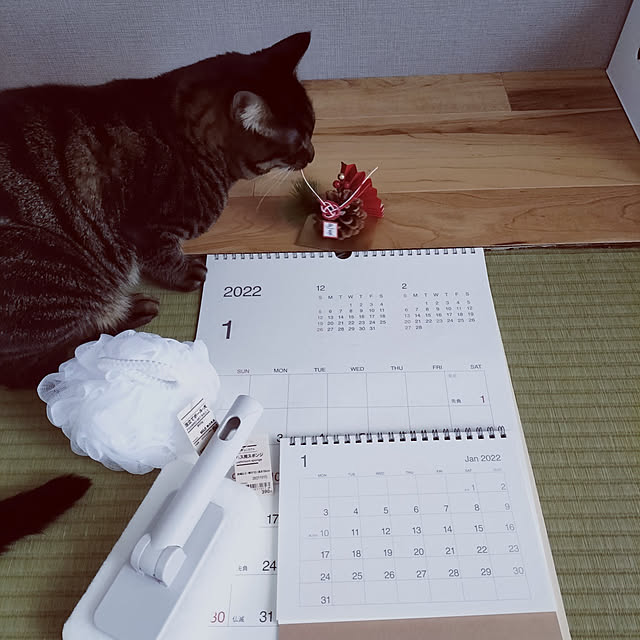 hihaさんの実例写真
