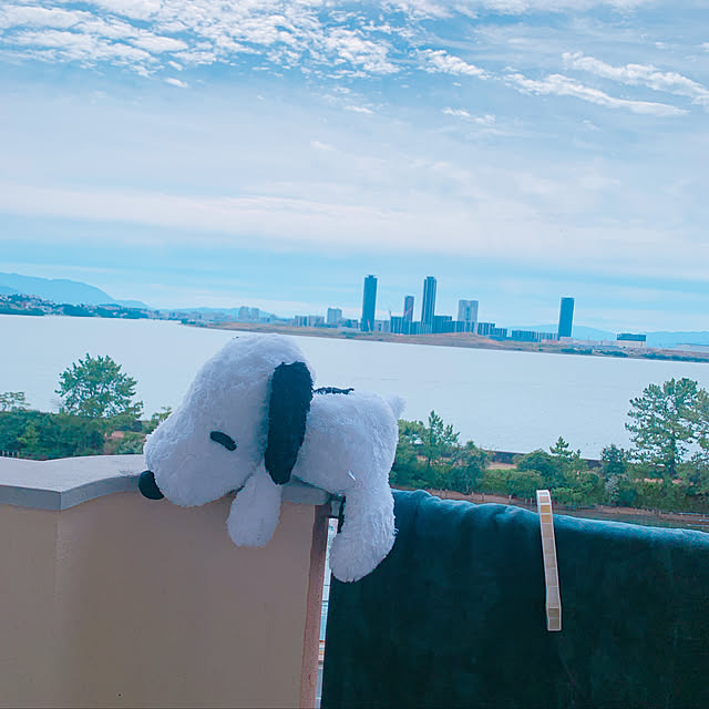 totoさんの実例写真
