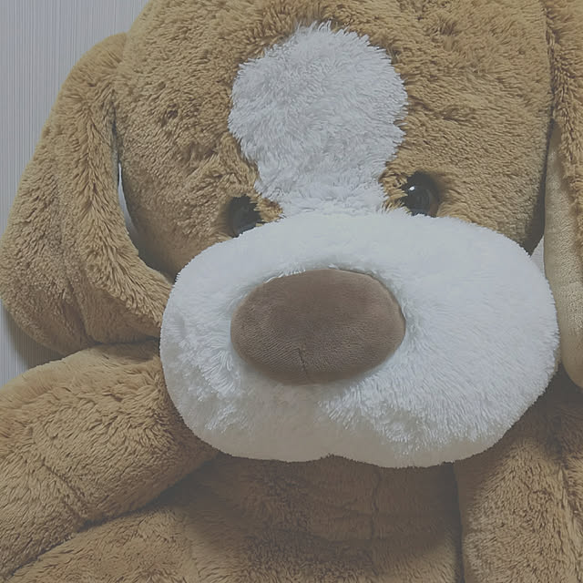 _____chii2さんの実例写真