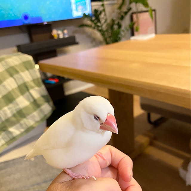 hananokaoriさんの実例写真