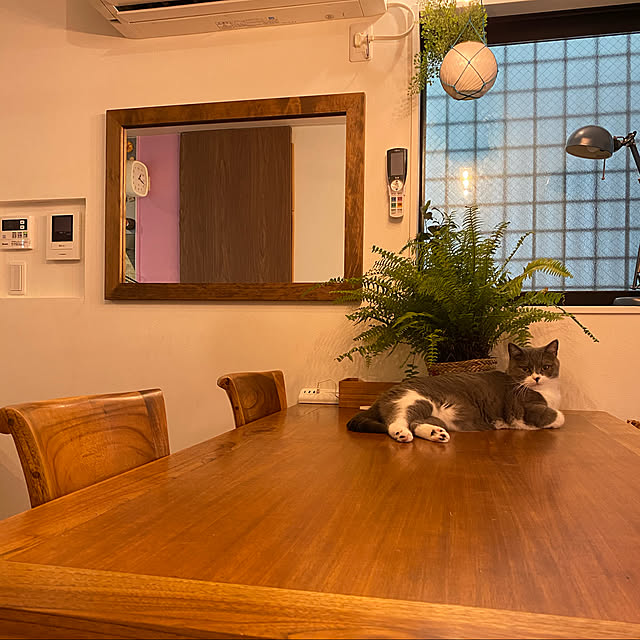 poniさんの実例写真