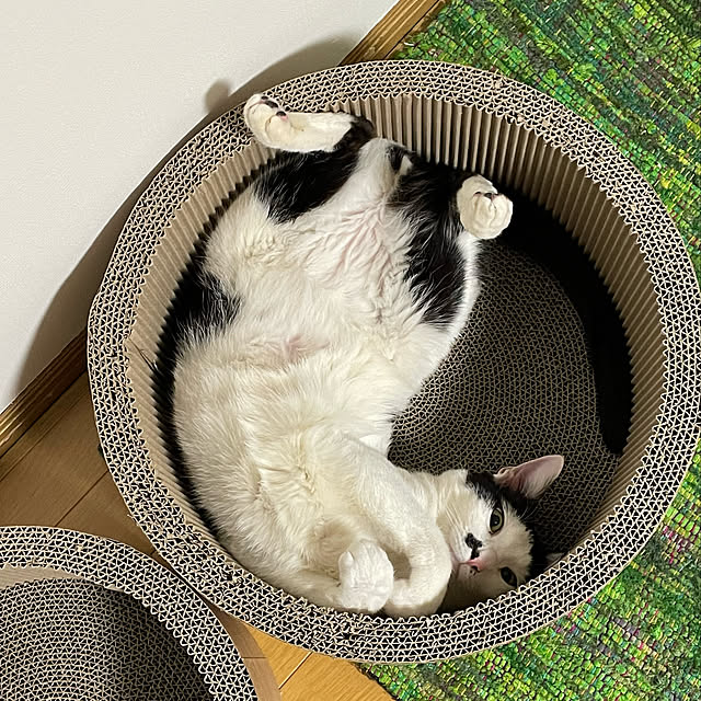 nobikoさんの実例写真