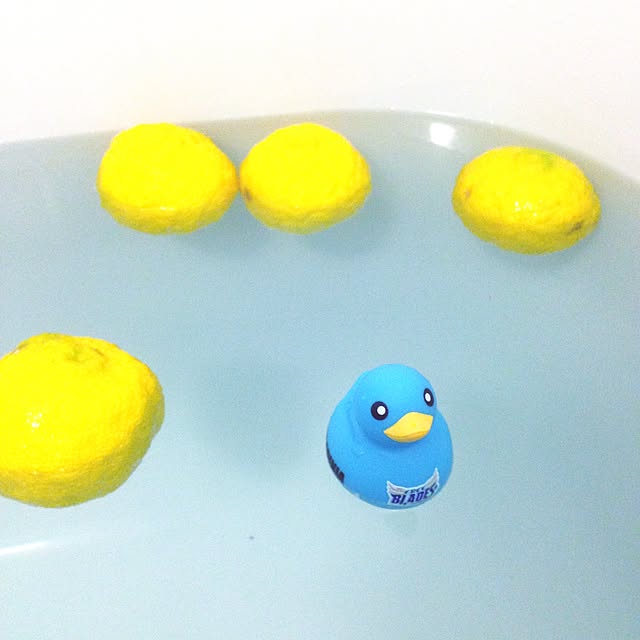 saさんの実例写真