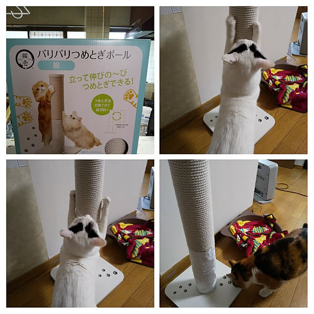 yukieさんの実例写真
