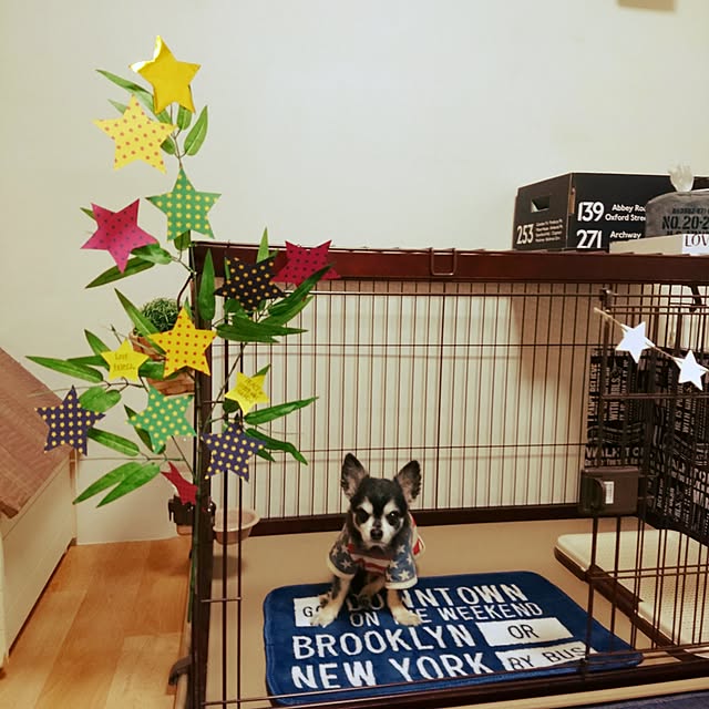 lovepeaceさんの実例写真