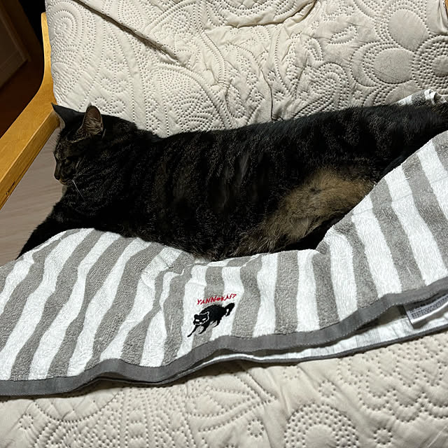 momocchiさんの実例写真