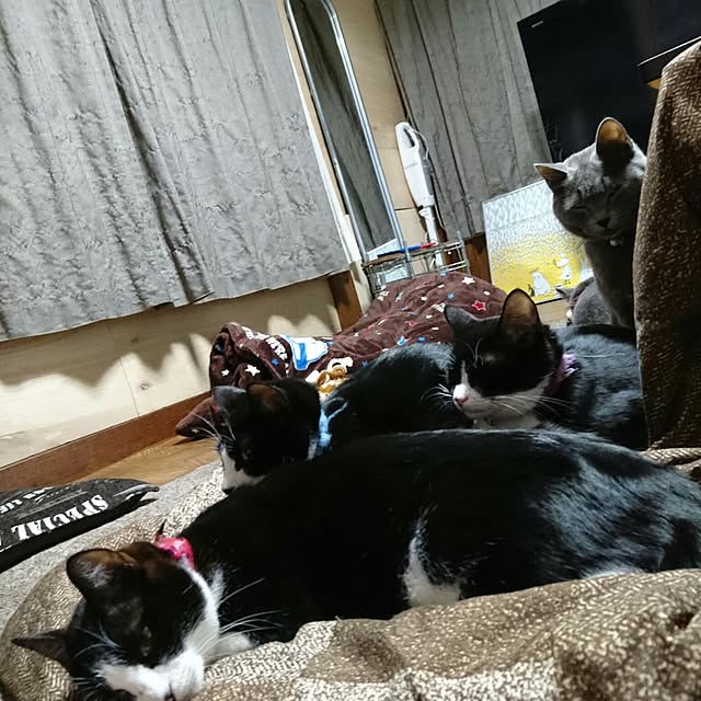 Marinyanさんの実例写真