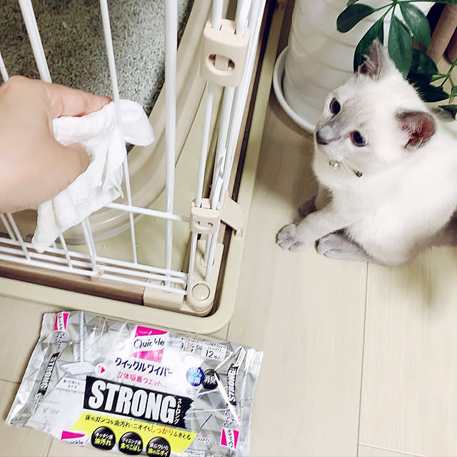 aichinさんの実例写真