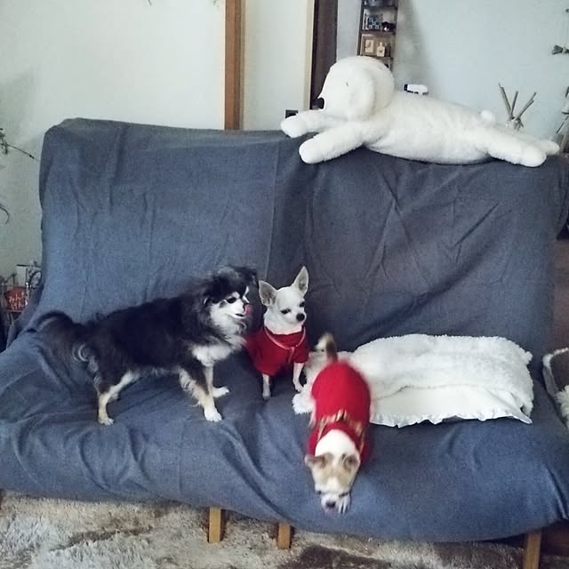 satominさんの実例写真
