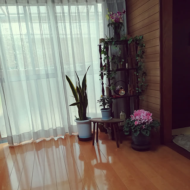 k30m24marchさんの実例写真