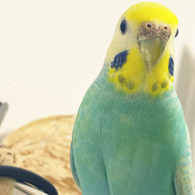 ohanaさんの部屋