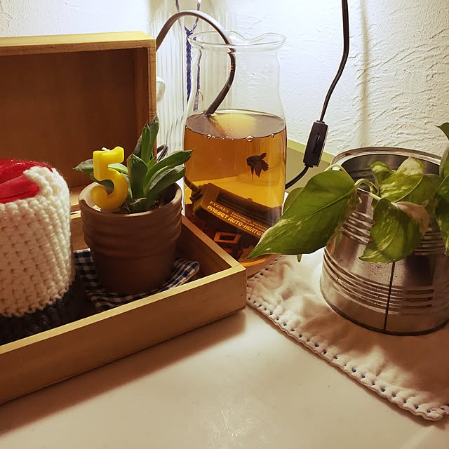 NOHANAさんの実例写真