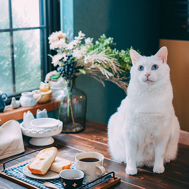 yuiiiさんの実例写真