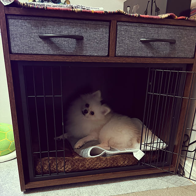 uninekoさんの実例写真
