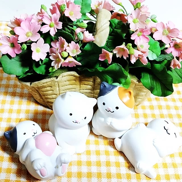 katさんの部屋