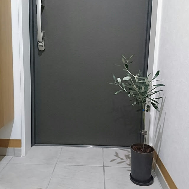bary.minamiさんの実例写真