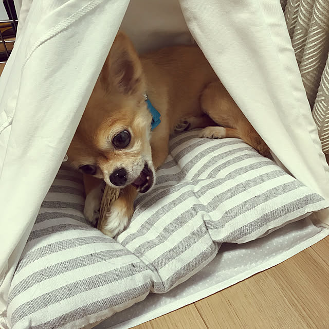 hananokaoriさんの実例写真