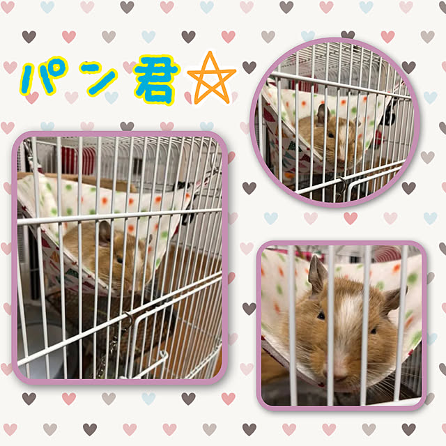 FUさんの実例写真